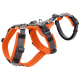 Orangefarbene Hundegeschirr mit gepolsterten Riemen und verstellbaren Schnallen, mit einem Metall-D-Ring zur Leinenbefestigung.