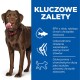 Brązowy pies stoi na niebieskim tle z polskim tekstem o korzyściach suplementu na stawy, w tym EPA, wsparcie elastyczności i glukozaminę.