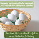 Geflochtener Korb mit sechs weißen Gipseiern auf grünem Füllmaterial; deutscher Text über das Bemalen der Eier und Frühlingsdekoration.