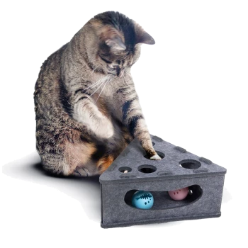 Eine verspielte getigerte Katze interagiert mit einer dreieckigen Filzspielzeugbox mit Löchern und bunten Bällen darin, die Engagement und Spaß fördert.