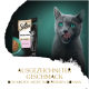 Sheba Katzenfutterbeutel mit der Aufschrift 'Selection in Sauce mit Lachs' mit einer Schüssel mit Nassfutter, mit einer verspielten grauen Katze, die sich die Lippen leckt.