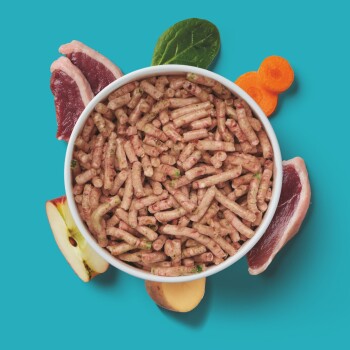 Schüssel mit Tierfutterpellets, umgeben von frischen Zutaten: Fleischscheiben, Apfel, Kartoffel und Karotte, auf einem hellen türkisfarbenen Hintergrund.