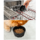 Hand stellt eine schwarze geometrische Futterschale für Haustiere in einen Geschirrspüler und eine Katze frisst Trockenfutter aus der Schale.