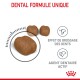 Friandises dentaires brunes pour animaux de compagnie, étiquetées "DENTAL FORMULE UNIQUE," mettant en avant l'effet de brossage dentaire et l'agent dentaire actif.