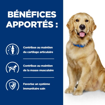 Golden retriever avec collier bleu assis à côté d'un panneau bleu indiquant « BÉNÉFICES APPORTÉS : » et trois lignes d'avantages en français.