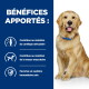 Golden retriever avec collier bleu assis à côté d'un panneau bleu indiquant « BÉNÉFICES APPORTÉS : » et trois lignes d'avantages en français.