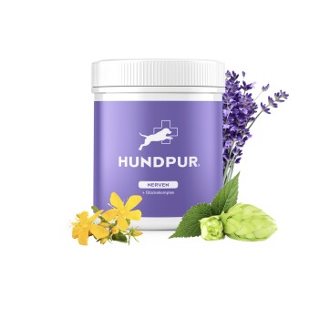 HUNDPUR ® Nerven mit Glückskomplex
