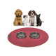 Eine rote Tiermatte mit zwei Edelstahlschalen steht vor einem Golden Retriever Welpen, einem flauschigen Kätzchen und einer schwarzen Katze.