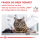 Getigerte Katze auf Untersuchungstisch mit Tierarzt im weißen Kittel; sichtbarer Text 'FRAGEN SIE IHREN TIERARZT' und 'ROYAL CANIN'