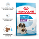 Royal Canin Starter Mother & Babydog Futter für Riesenrassen, geeignet für Welpen von 1-2 Monaten, mit Bernhardiner-Hunden auf der Verpackung.