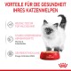 Ein flauschiges weißes Kätzchen steht neben einer roten Schüssel mit Royal Canin Katzenfutter und zeigt gesundheitliche Vorteile für junge Katzen.