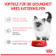 Ein flauschiges weißes Kätzchen steht neben einer roten Schüssel mit Royal Canin Katzenfutter und zeigt gesundheitliche Vorteile für junge Katzen.