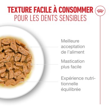 Nourriture humide marron pour animal dans un bol blanc avec texte en français sur la texture facile pour dents sensibles et les bienfaits nutritionnels.