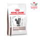 Royal Canin Veterinary Hepatic Katzenfutterbeutel mit einem Bild einer grauen getigerten Katze, mit dem Logo "ROYAL CANIN" und dem Abzeichen "VETERINARY NUTRITION".