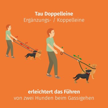 Tau Doppelleine für 2 Hunde - dehnbar und verhedderungsfrei grün L
