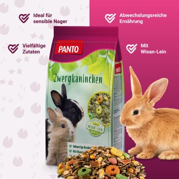 PANTO Zwergkaninchenfutterbeutel mit zwei Kaninchen, bunten Pellets und dem Text: "Ideal für sensible Nager," "Vielfältige Zutaten."
