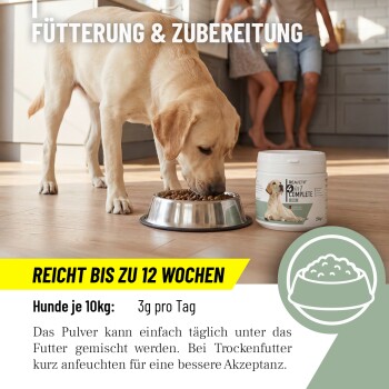 Ein Tierarzt in einem weißen Kittel mit einem Stethoskop interagiert mit einem Hund, mit Text über Qualitätsstandards.