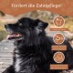Ein flauschiger schwarzer Hund sitzt draußen und sieht glücklich aus. Der Text oben sagt "Fördert die Zahnpflege!" mit Symbolen für zahnmedizinische Vorteile.
