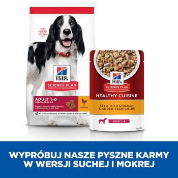 Produkty karmy dla psów od Hill's Science Plan, z torbą suchej karmy dla dorosłych psów i saszetką mokrej karmy oznaczoną 'Healthy Cuisine.'