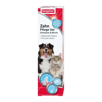 Zahnpasta & Zahnbürste