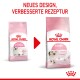 Zwei Royal Canin Kittenfutterbeutel mit neuem Design und Rezeptur, mit "NEUES DESIGN, VERBESSERTE REZEPTUR" für Kätzchen bis zu 12 Monaten.