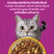 Grau getigerte Katze hinter einer Schüssel Trockenfutter auf violettem Hintergrund; sichtbarer deutscher Text: ‚Unwiderstehliche Köstlichkeit ... zufrieden schnurrt.‘