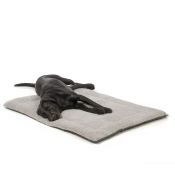 Ein schwarzer Hund liegt bequem auf einem weichen, grauen Haustierbett und zeigt seine entspannte Haltung und plüschige Textur.