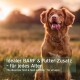 Ein Golden Retriever sitzt in einem Sonnenuntergangsfeld mit dem Text: 'Ideal BARF & Futter Zusatz - für jedes Alter' und 'Ideal rohes Futter & Futterzusatz.'