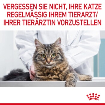 Eine getigerte Katze auf einem Tierarzt-Tisch schaut in die Kamera, mit einem Tierarzt hinter ihr. Der Text lautet: "VERGESSEN SIE NICHT, REGELMÄSSIG ZUM TIERARZT ZU GEHEN."