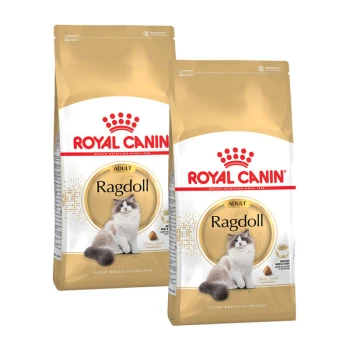Zwei Tüten Royal Canin Adult Ragdoll Katzenfutter, mit einer flauschigen Ragdoll-Katze auf der Vorderseite, mit einem gold-weißen Design.