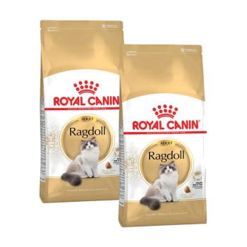 Zwei Tüten Royal Canin Adult Ragdoll Katzenfutter, mit einer flauschigen Ragdoll-Katze auf der Vorderseite, mit einem gold-weißen Design.