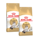 Zwei Tüten Royal Canin Adult Ragdoll Katzenfutter, mit einer flauschigen Ragdoll-Katze auf der Vorderseite, mit einem gold-weißen Design.