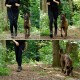 Eine Frau in schwarzen Leggings und einem langärmeligen Oberteil führt einen glücklichen gestromten Hund an der Leine auf einem grünen Waldweg.