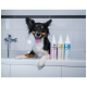 Ein glücklicher schwarz-weißer Hund sitzt in einer Badewanne neben drei bunten Haustiershampooflaschen mit den Aufschriften "Shampoo Shine", "Shampoo Care" und "Shampoo Treat."