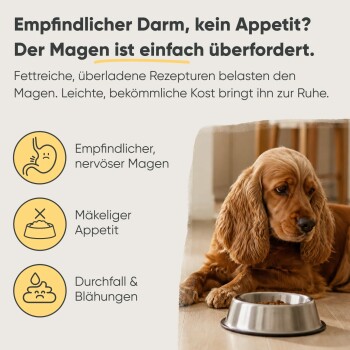 Dosen-Hundefutter "Milo & Mia" mit Huhn, Reis und Gemüse, mit Illustrationen eines Hundes und der Zutaten.