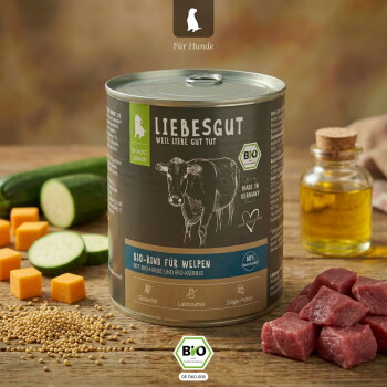 Dose LIEBESGUT Hundefutter mit Aufschrift "BIO-RIND FÜR WELPEN", Kuhskizze, Zucchini, Kürbiswürfel, Ölflasche und rohem Rindfleisch.
