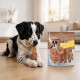Black-and-white dog chewing a chicken treat beside a bag labeled MultiFit Native Snacks Adult with visible chicken pieces.