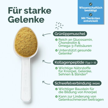 Löffel mit gelbem Ergänzungspulver unter der deutschen Überschrift 'Für starke Gelenke' und Inhaltsangaben: Grünlippmuschel, Kollagenpeptide, MSM.