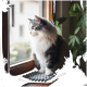 Eine flauschige grau-weiße Katze sitzt auf einer strukturierten Matte am Fenster und schaut mit leuchtend gelben Augen nach draußen, umgeben von Grün.
