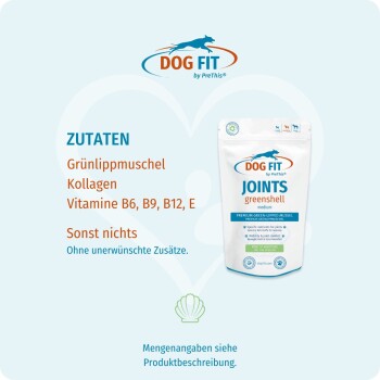 DOG FIT JOINTS greenshell Hundeergänzungsbeutel mit Überschrift 'ZUTATEN', die Grünlippmuschel, Kollagen und Vitamine B6, B9, B12, E aufführt.