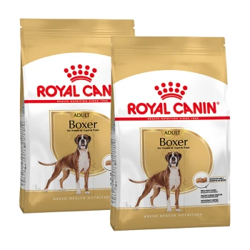 Zwei Tüten Royal Canin Boxer Hundefutter, beschriftet mit "ADULT Boxer" und einem Bild eines Boxerhundes, das die rassespezifische Ernährung betont.