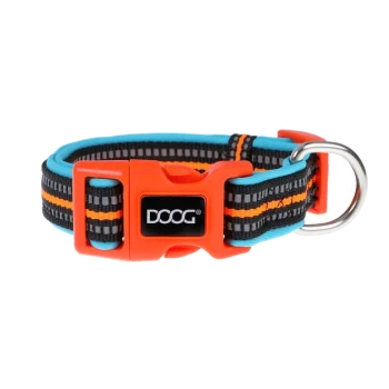 Bunter Hundehalsband mit einem schwarz, orange und blau gestreiften Design, mit einer leuchtend orangefarbenen Schnalle und einem Metall-D-Ring.