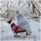 Zwei Hunde sitzen im Schnee, einer trägt einen roten gestrickten Pullover mit weißen Mustern und der andere einen hellblauen Pullover mit Schneeflockenmotiven.
