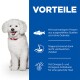 Ein flauschiger weißer Hund steht neben einem blauen Panel mit der Aufschrift "VORTEILE," das Vorteile wie hochwertiges Protein und gesunde Fette zeigt.