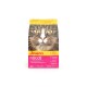 Beutel Josera INDOOR Katzenfutter für ausgewachsene Katzen mit Nahaufnahme eines Katzenkopfs auf gelb-pinker Verpackung, 2 kg, 'Josera' und 'INDOOR' sichtbar.