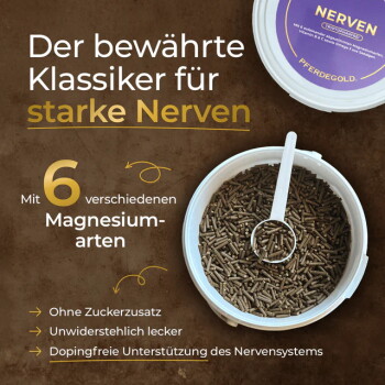 Lila Behälter mit Pferdegold Mineralfutter für Pferde, beschriftet mit "Nerven", umgeben von Zutaten wie Salz, Leinsamen und einem Wurzelgemüse.