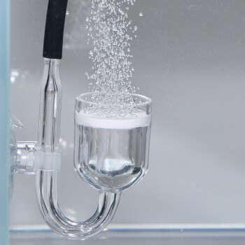 Eine Nahaufnahme eines Glas-Aquariumfilters mit aufsteigenden Blasen aus einer Kammer, die klares Wasser und ein elegantes Design zeigt.