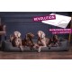 ® GOOFY Kunstleder - Orthopädisches Hundebett >>inkl. Matratzenschoner<< creme 90 cm, 22 cm, 75 cm