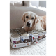Eine Anzeige von Dosenfutter für Hunde mit dem Etikett 'DOG'S LOVE', das verschiedene Geschmacksrichtungen und Bilder von Hunden auf den Etiketten zeigt, ordentlich verpackt.