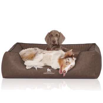 Ein bequemer brauner Hundebett mit einem glücklichen Australian Shepherd, der sich entspannt, mit dem Markennamen 'KNUFFELWUFF' deutlich sichtbar.
